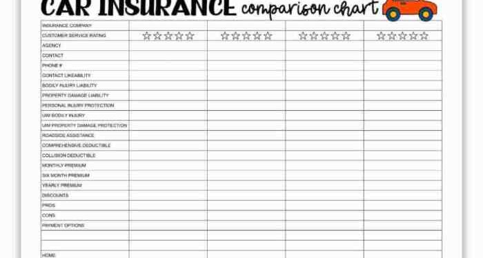 Car Insurance Comparison Chart - Sunshine and Rainy Days