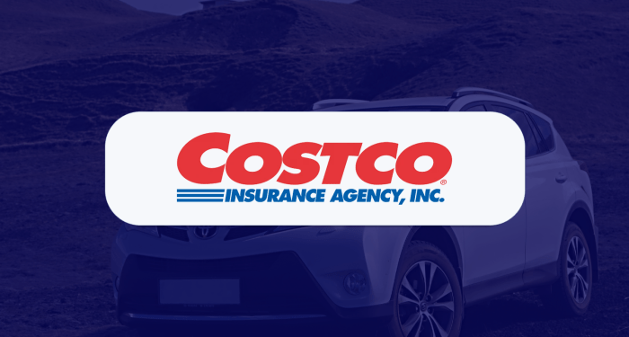 Pros And Cons Of Costco Auto Insurance at Ana Means blog